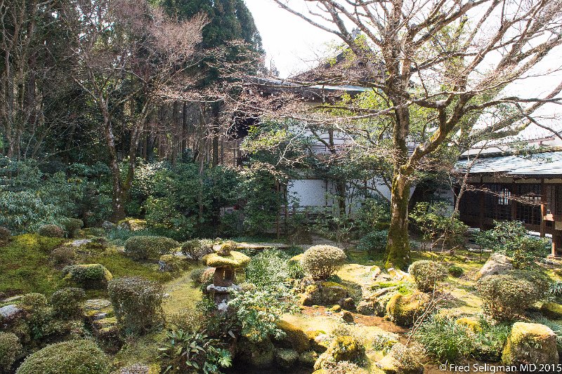 20150313_112805 D4S.jpg - Gardens, Sanzen-in Temple